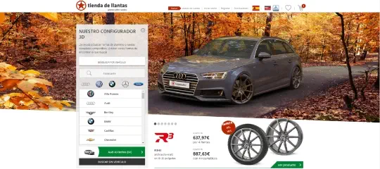 Expansion into the European market