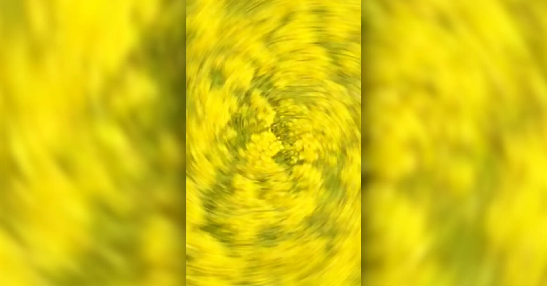 Thumbnail for our logistics center tour video in Großschirma, showing a view from the rapeseed field toward the warehouse.